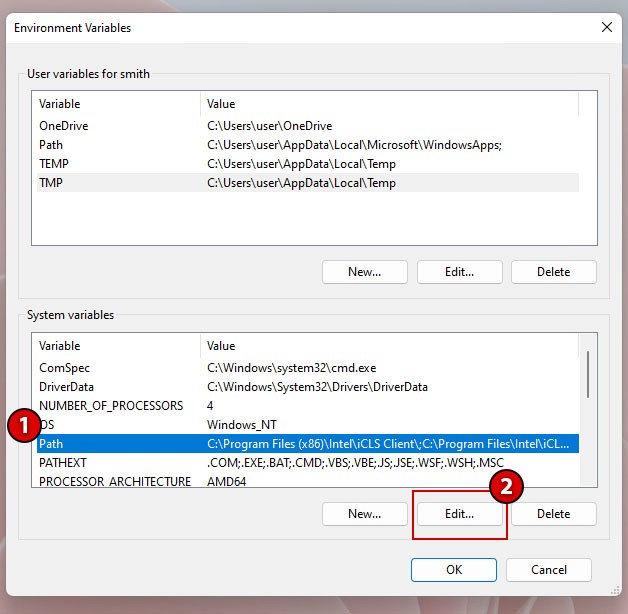 Windows 10/11 Environment Variables Control Panel